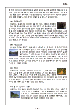 hg-91-7.gif (10934 bytes)